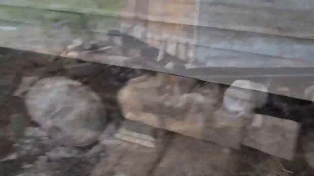 Подъем дома на винтовые сваи в Архангельской обл