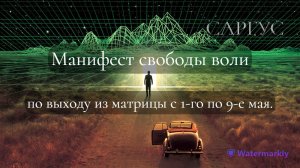 #61  Манифест свободы воли по выходу из матрицы с 1-го по 9-е мая