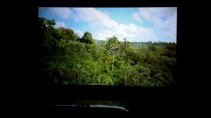 Обзор недорогого Full HD DLP-проектора BenQ W1050 для домашнего кинотеатра