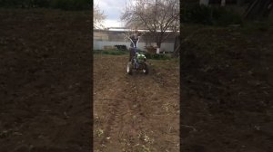 Прополка огорода с помощью мотоблок