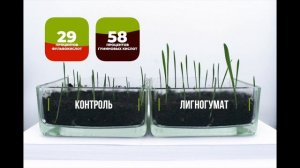 Что такое Лигногумат БM и как он работает?