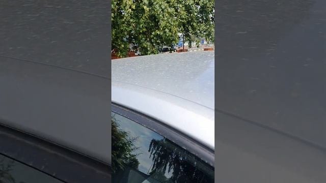 Как легко помыть машину