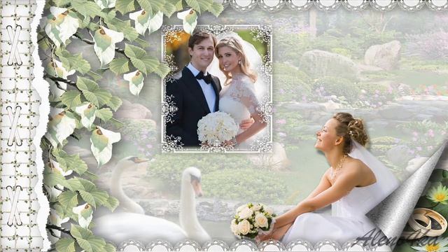 Свадебное слайд шоу на заказ. Proshow Producer project Wedding Swans_mp4