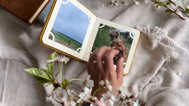 Альбом ручной работы фотоальбом смотреть онлайн