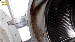 Метод по избавлению от черной плесени в стиральной машине