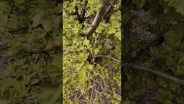 Вот такой день, 21 апреля 2022, в городе Евпатории #shorts #Евпатория #Крым #ХанБатон #ВотТакойДень