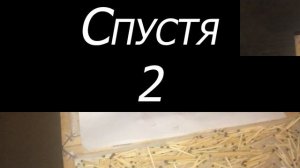 СДЕЛАЛ СПИЧКУ В 1000 РАЗ БОЛЬШЕ ОБЫЧНОЙ! гигантская спичка.