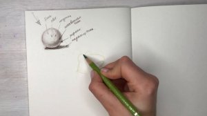Уроки рисования: объем. Рисуем шар, свет и тень.