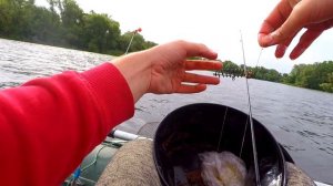 Ловля КРУПНОГО КАРАСЯ НА ПУФФ С ЛОДКИ НА РУСЛЕ | Рыбалка на Днепре