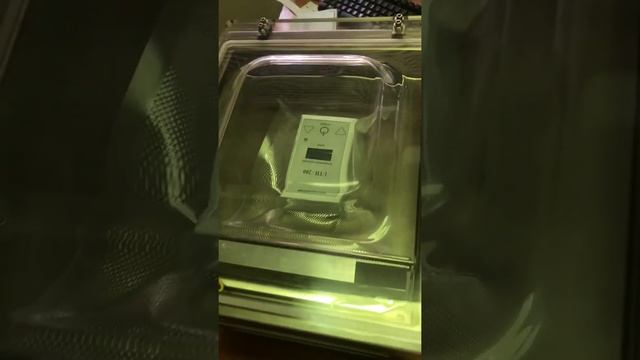 Вакууматор вакуумный упаковщик DZ-260 смотреть онлайн