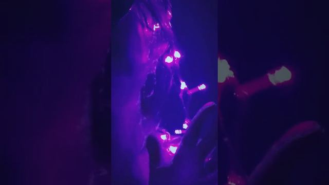 81 SONET MAX BASS (prod. by Matt Tucker) смотреть онлайн