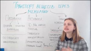 Транспорт веществ через мембрану