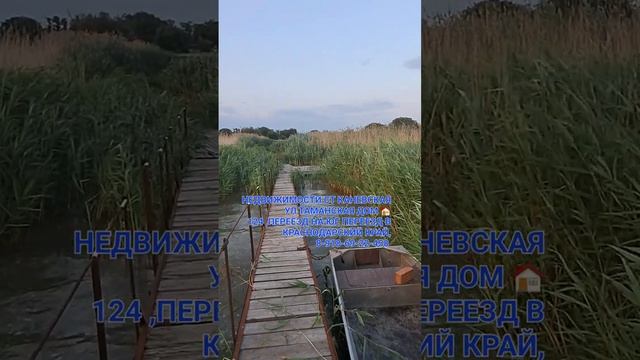 Переезд на Юг, Переезд на Кубань, Переезд в Краснодарский край