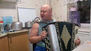 Пора домой на баяне