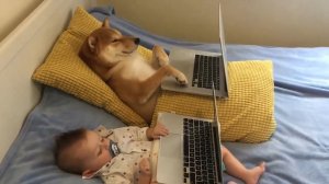 Собака и ребенок смотрят мультфильм