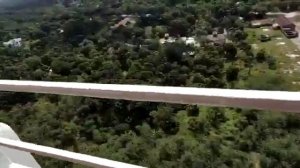 Летающий гигантский таракан.