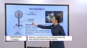 Биология. 7 класс. Вирусы. Особенности строения вирусов как неклеточной формы жизни /25.05.2021/
