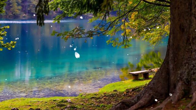 Сборник невероятно красивой, завораживающей музыки для души! Красивая музыка Сергея Чекалина #55 смотреть онлайн