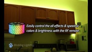 RGB Color Changing 120 Volt LED Strip Lights