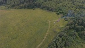 Несанкционированный мусор возле д. Никулино Солнечногорского района