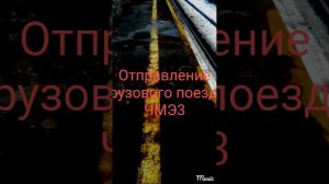 Первый раз у нас электропоезд ласточка. И тепловоз ЧМЭ3 грузовой. Для Den nik 047