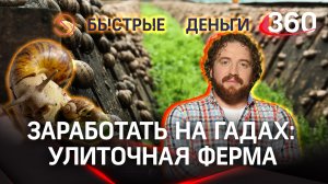 Быстрые деньги на медленных улитках: как заработать на гадах и как выглядит улиточная ферма