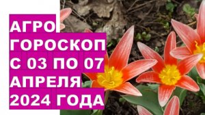 Агрогороскоп с 03 по 07 апреля 2024 года Agrohoroscope from April 03 to April 07, 2024