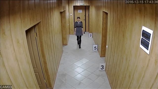 Видеокамера Tigris THL-VP20 коридор день смотреть онлайн