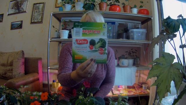 Масай как средство против вредителей?сохраняю черенки??