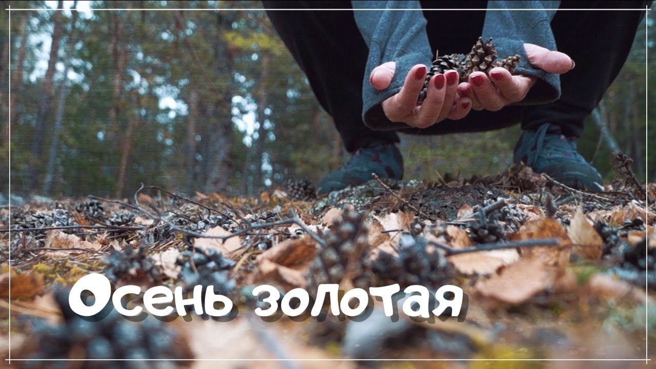 Осень золотая на Красноярских столбах.