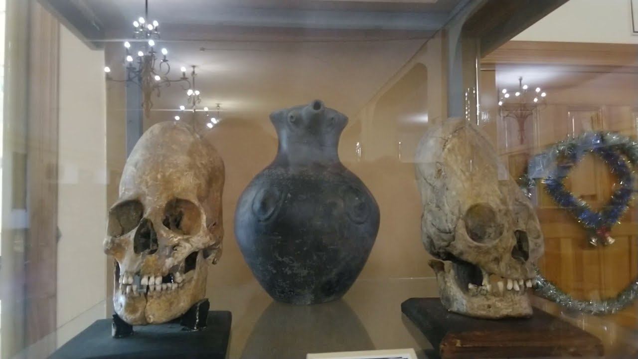 Удлиненные Черепа в Кисловодском музее смотреть онлайн