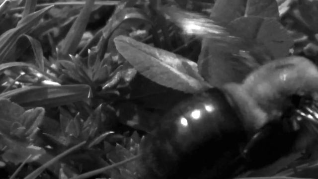 Different Ways to Stay Afloat (2021) смотреть онлайн