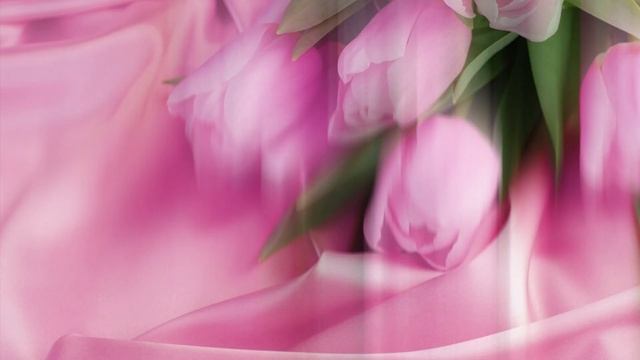 С днём рождения СВЕТЛАНА #красивое поздравление #красивая музыкальная видео открытка