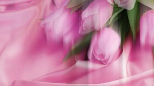 С днём рождения СВЕТЛАНА #красивое поздравление #красивая музыкальная видео открытка