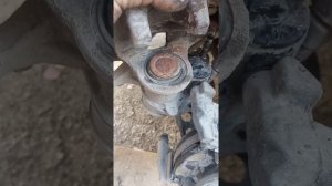 Тойота Камри 70 пыльник суппорта