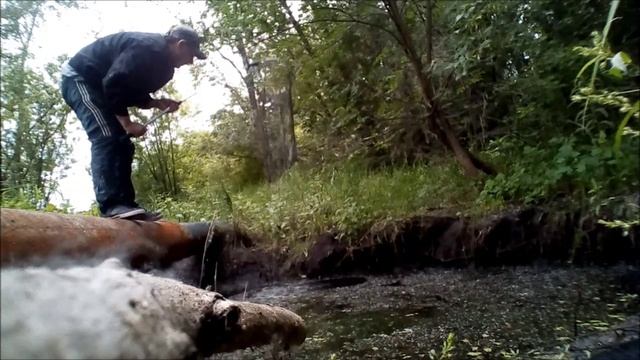 попытка поймать 3