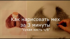 Как нарисовать мех в технике живописи сухая кисть. Урок рисования для начинающих и опытных