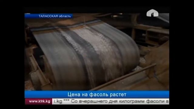 Цена на фасоль растет