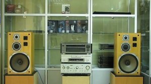 Yamaha NS-690