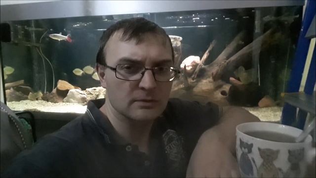 Февраль и март аквариумиста, что нового, поездка на Птичий рынок, привозная рыба подорожала. смотреть онлайн