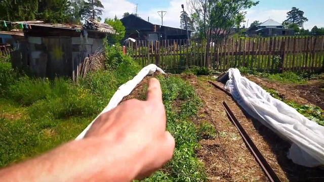 Заборостроительный урок. Кошу траву