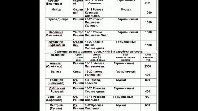 Каталог на годовалые саженцы виноград 2024.