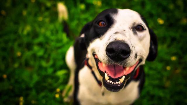 Супер новые песни и видео 2015 - смотреть бесплатно смотреть онлайн