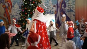 Дельфинята. Новый 2024 год.