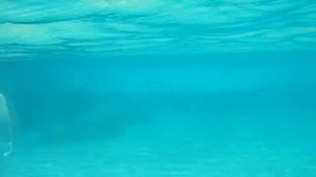 Подводный мир Средиземного моря... смотреть онлайн