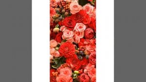 Поздравление любимой дочери с 20-ти летием