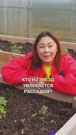 Отечественные «ЗВЁЗДЫ» РАССАДЫ