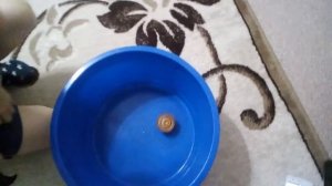 Долгий запуск блейдов