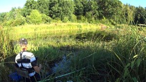 Осенний клёв КРАСНОПЁРКИ на реке.  Рыбалка на ПОПЛАВОК. Рыбалка в сентябре.