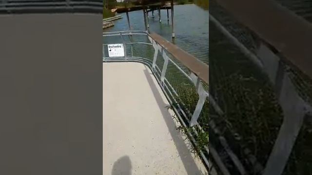 Kassie KS14D - how to ride смотреть онлайн